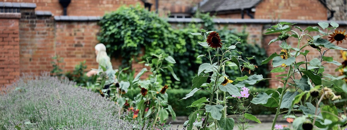 Foreground of flowers in grass, figure in front of a brick wall in the background