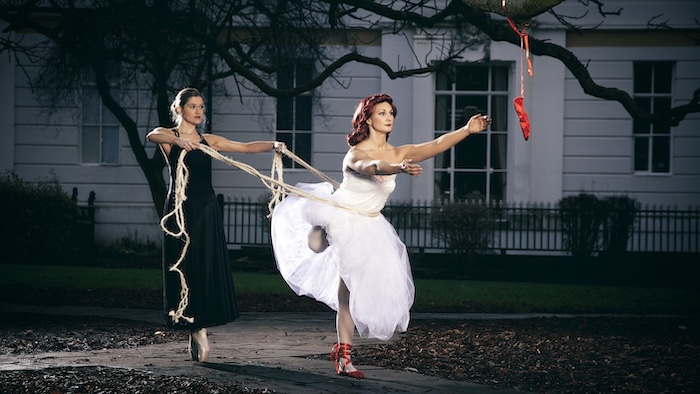 Black Swan, photogaphed by Sean Goldthorpe, 11 Million Reasons exhibition