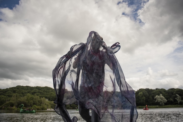 Black Swan, photogaphed by Sean Goldthorpe, 11 Million Reasons exhibition